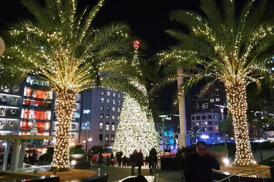 union-square-arbres-de-noel